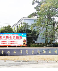 貴州西洋實(shí)業(yè)項(xiàng)目--借助眾升科技10KV戶外箱變式無(wú)功補(bǔ)償裝置，功率因數(shù)達(dá)標(biāo)！