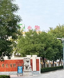 眾升科技高壓無(wú)功補(bǔ)償柜 --助力山東福洋生物科技股份有限公司,高效用電、改善用電質(zhì)量！